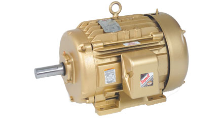 20 HP TEFC Electric Motor